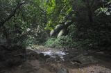 Ущелье Tonglin Gorge, изображение ландшафта.