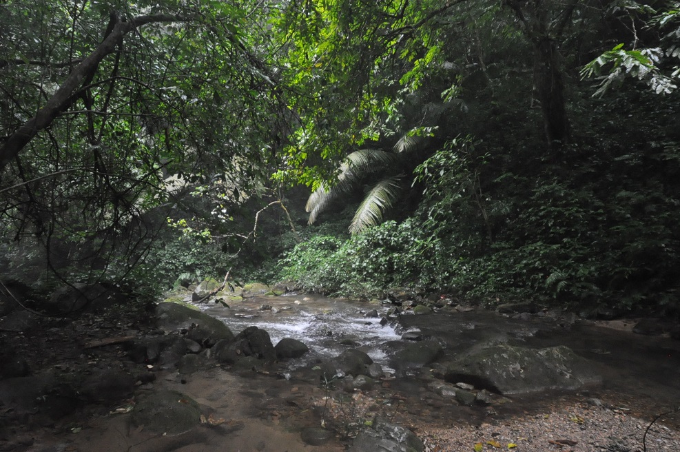 Ущелье Tonglin Gorge, image of landscape/habitat.
