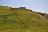 Озеро Шунет, image of landscape/habitat.