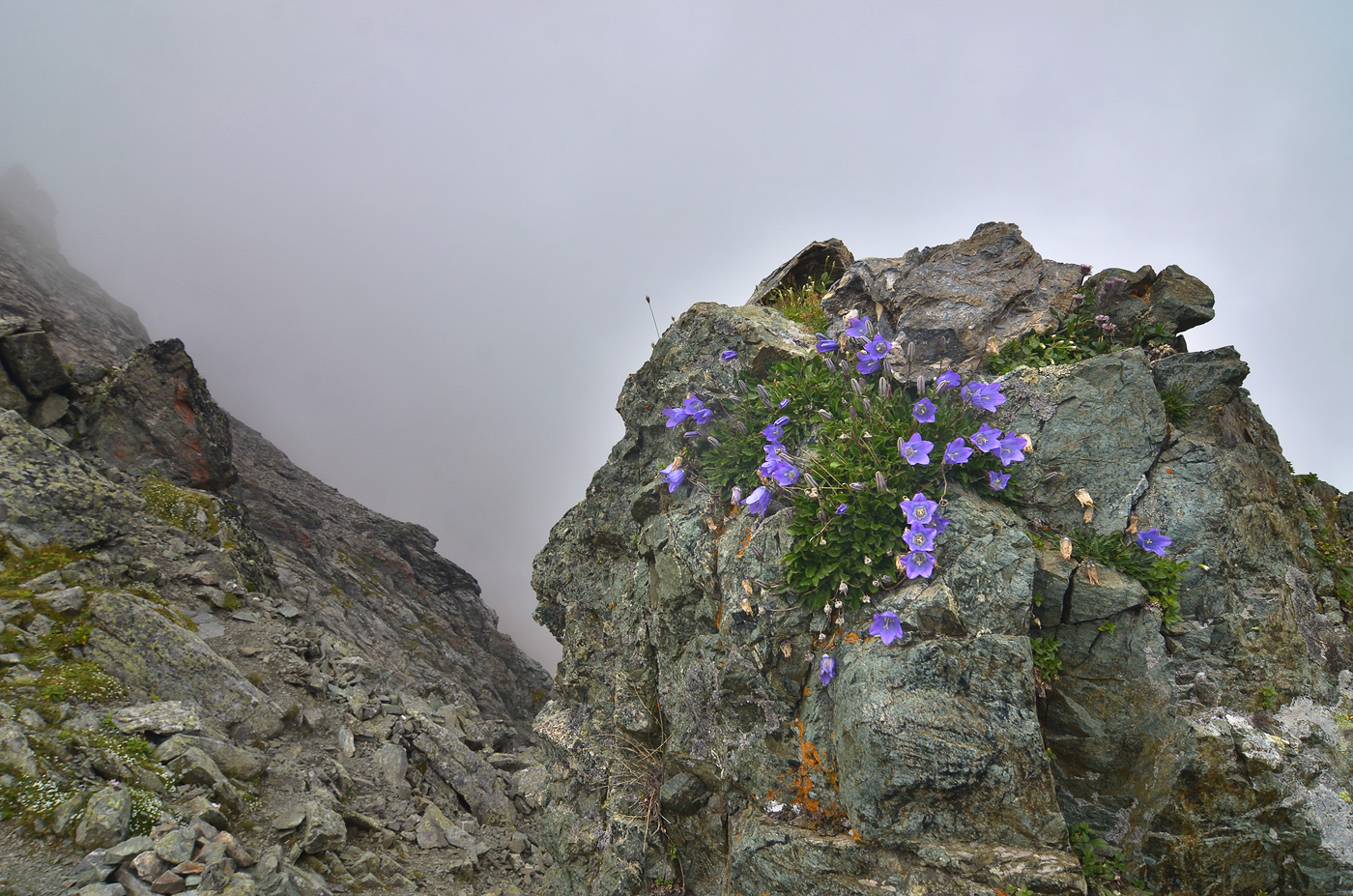 Хребет Абишира-Ахуба, image of landscape/habitat.