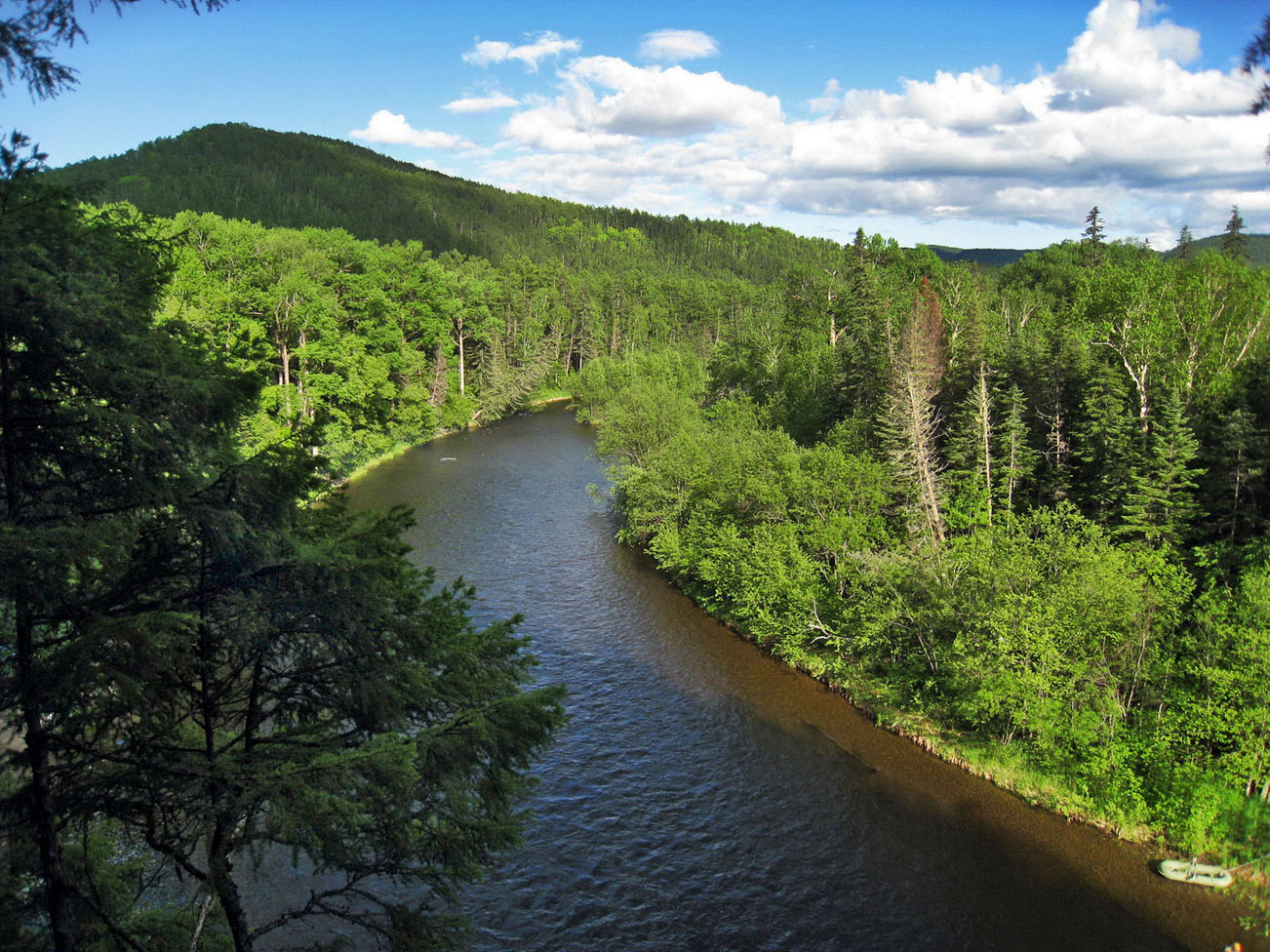 Река Гур (верховья), image of landscape/habitat.