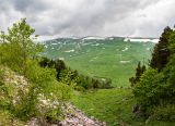 Азишский перевал, image of landscape/habitat.