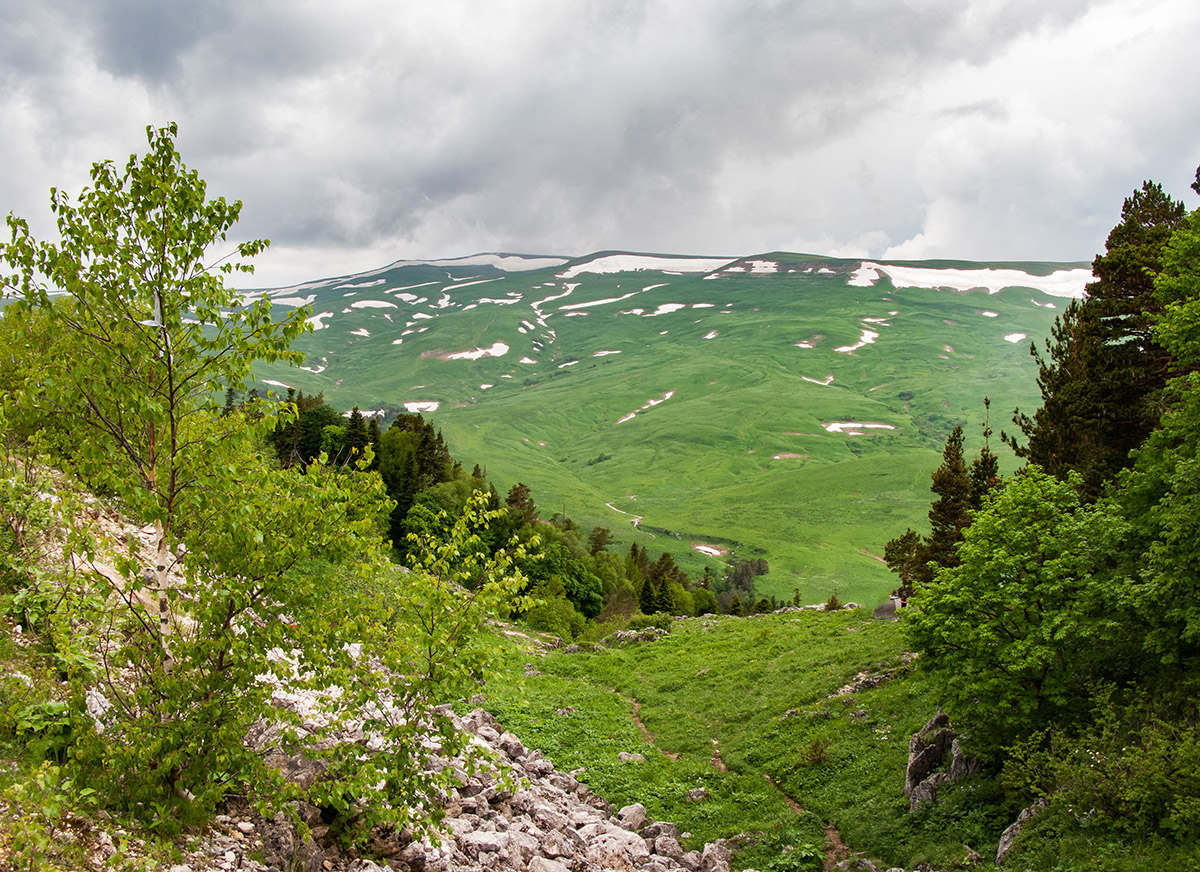 Окрестности Азишского перевала, image of landscape/habitat.