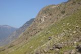 Image of landscape