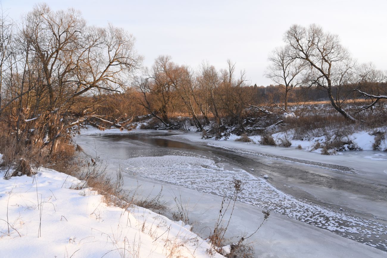 Овраг Волчий, image of landscape/habitat.