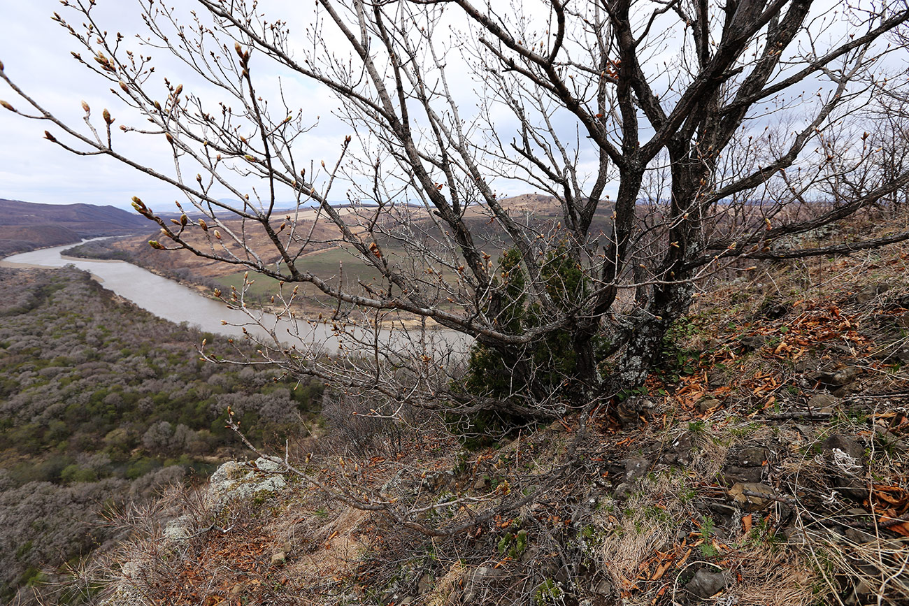 Устье реки Орлиха, image of landscape/habitat.