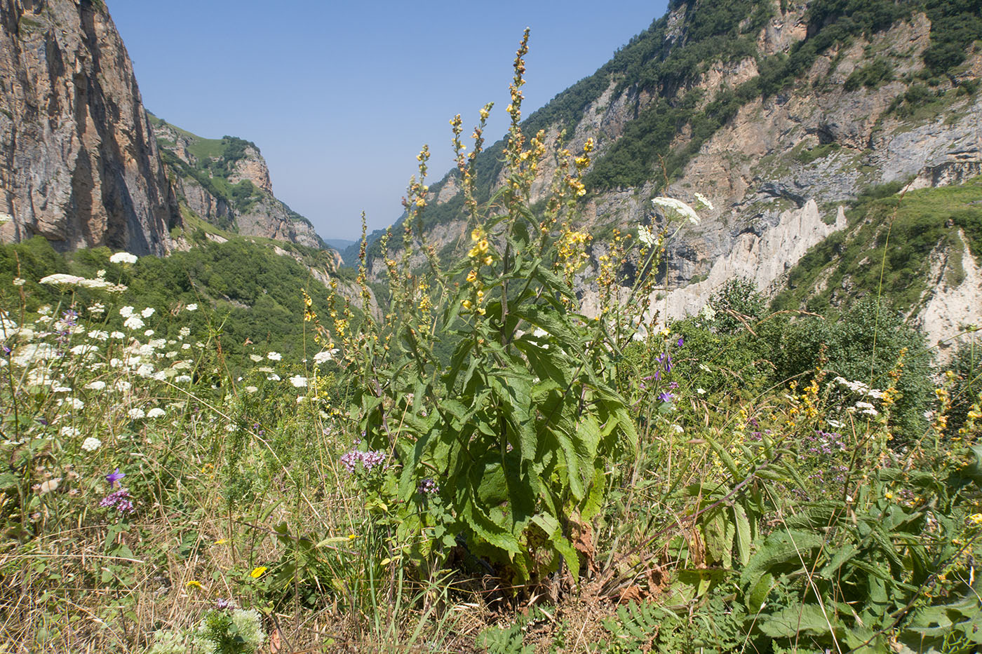 Хазнидонская теснина, image of landscape/habitat.