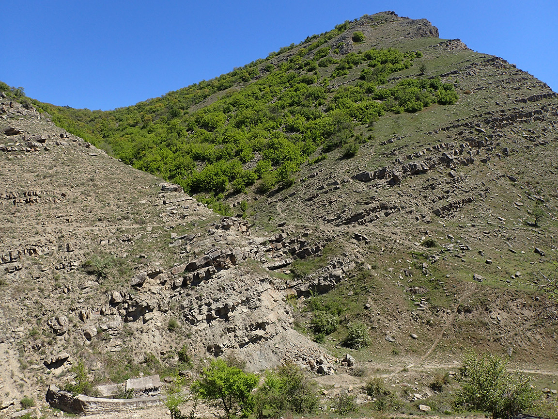 Хребет Токлук-Сырт, image of landscape/habitat.