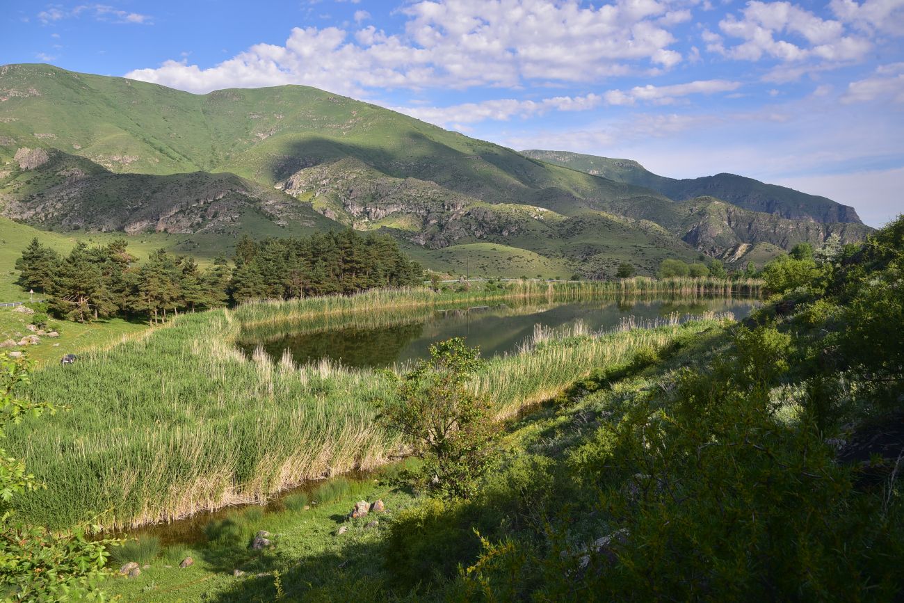 Озеро Цунда, image of landscape/habitat.