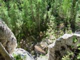 Image of landscape