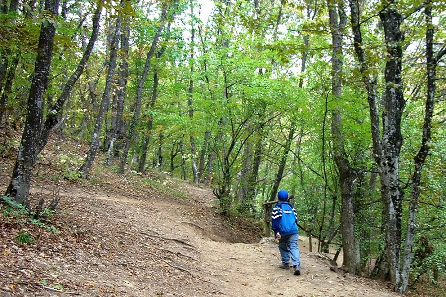 Водопад Джур-Джур, image of landscape/habitat.