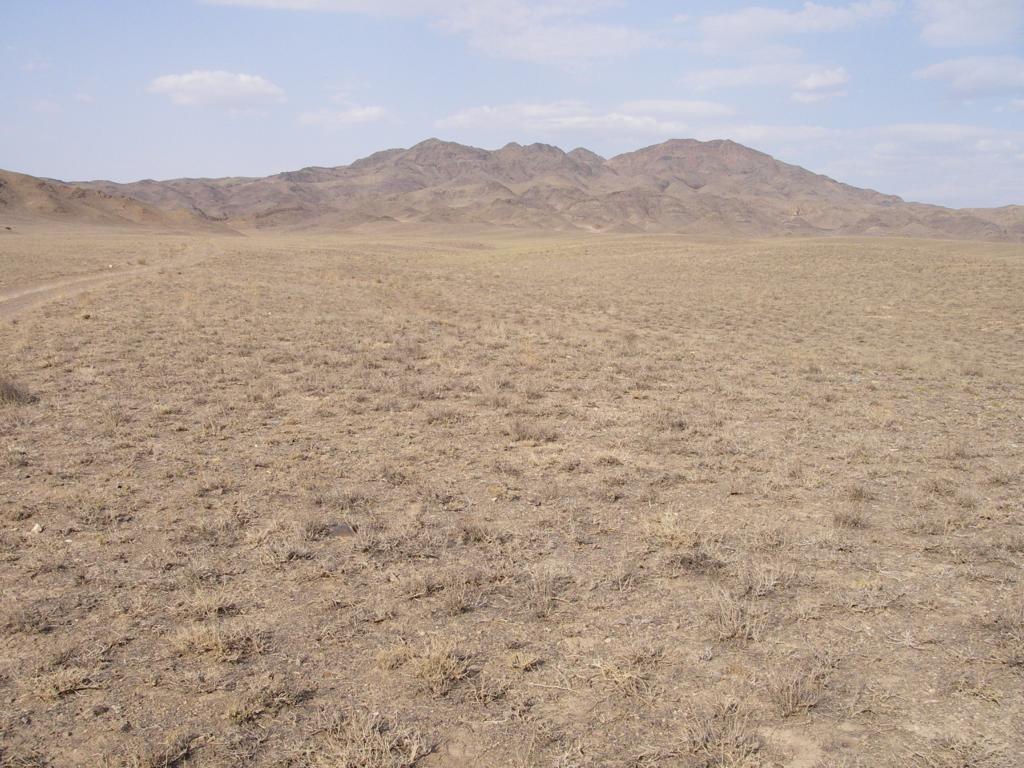 Алтын-Эмель, image of landscape/habitat.