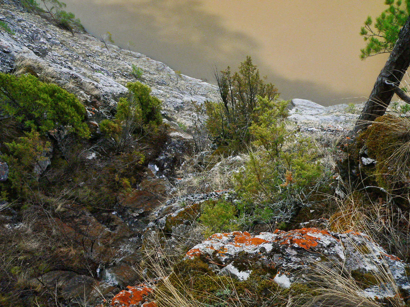 Камень Великан и его окрестности, image of landscape/habitat.