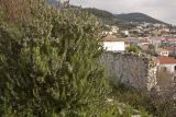 Image of landscape