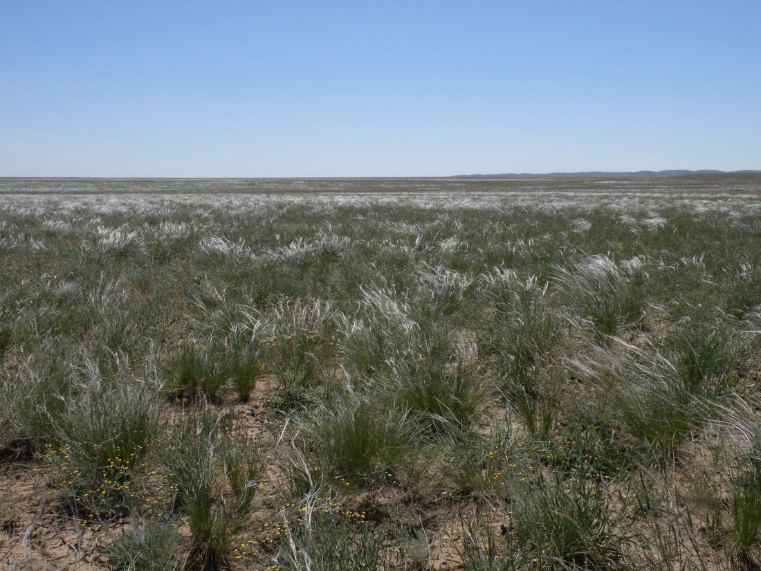 Мугоджары, image of landscape/habitat.