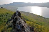 Озеро Шунет, image of landscape/habitat.