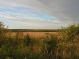 Хвалынка, image of landscape/habitat.