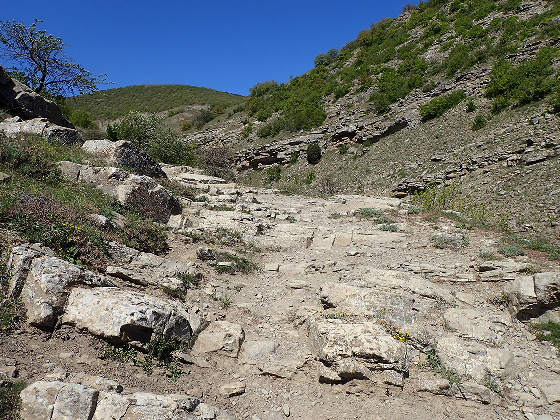Хребет Токлук-Сырт, image of landscape/habitat.