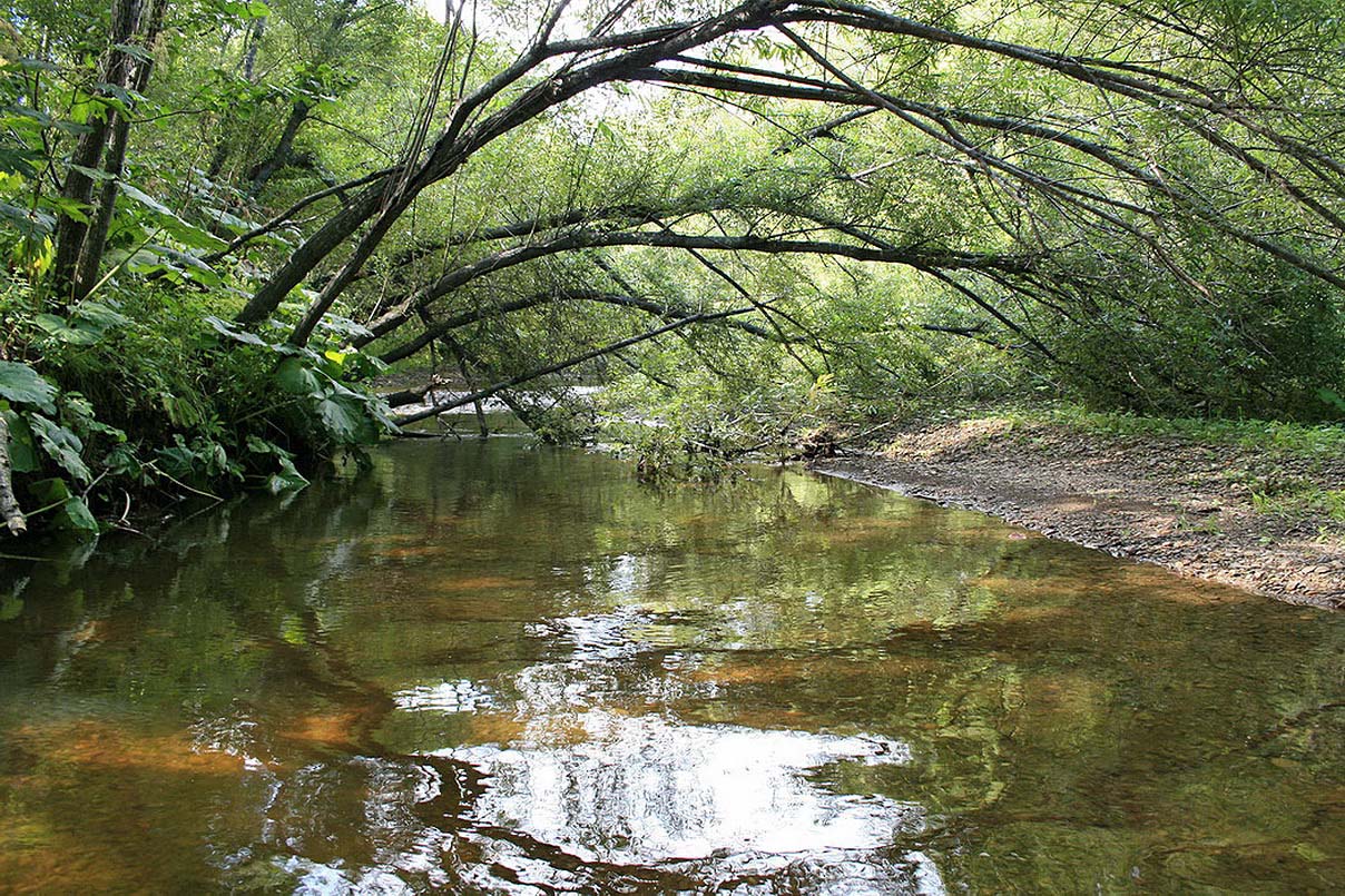 Холмск, image of landscape/habitat.