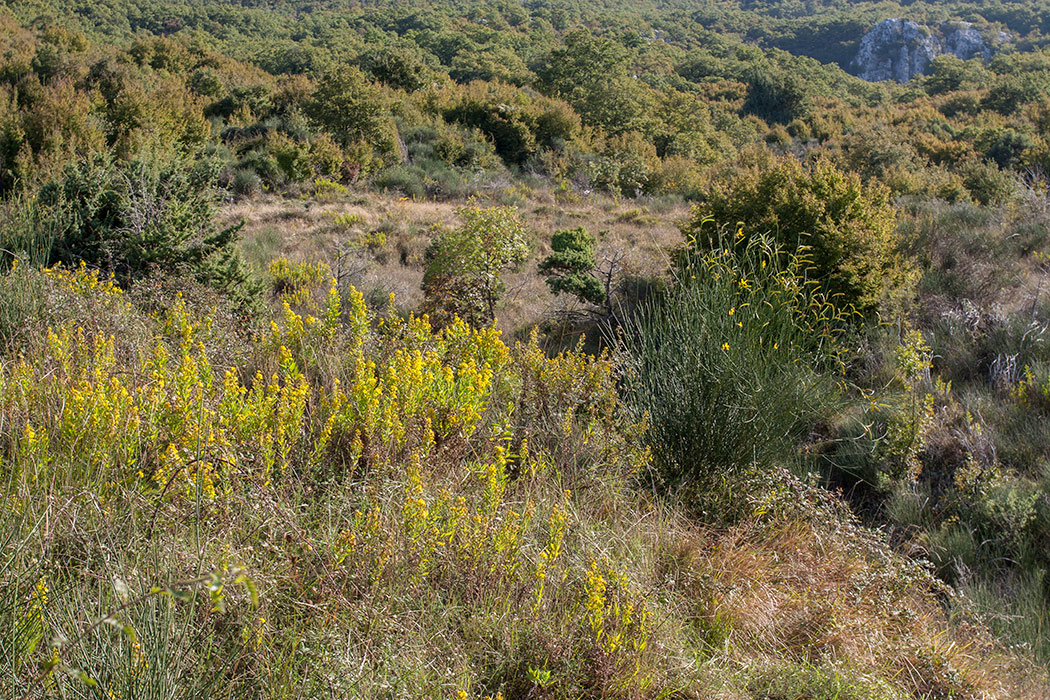 Кульяче и окрестности, image of landscape/habitat.