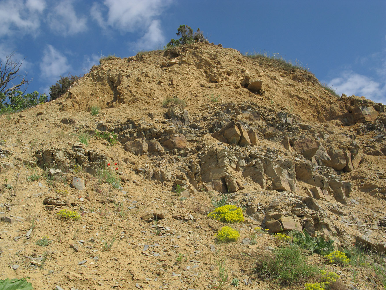 Большой Утриш, гора Солдатская, image of landscape/habitat.