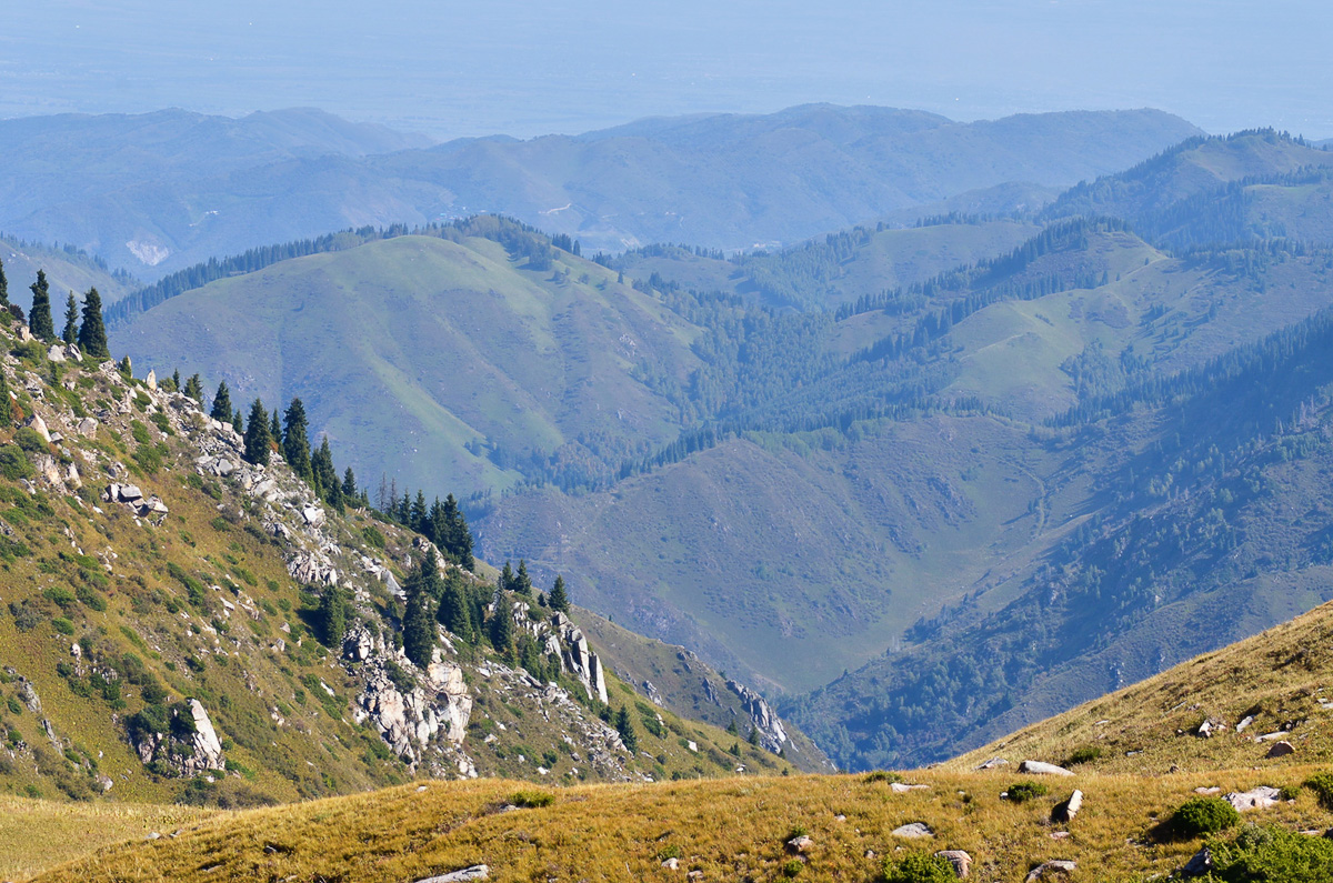 Верхний Горельник, image of landscape/habitat.