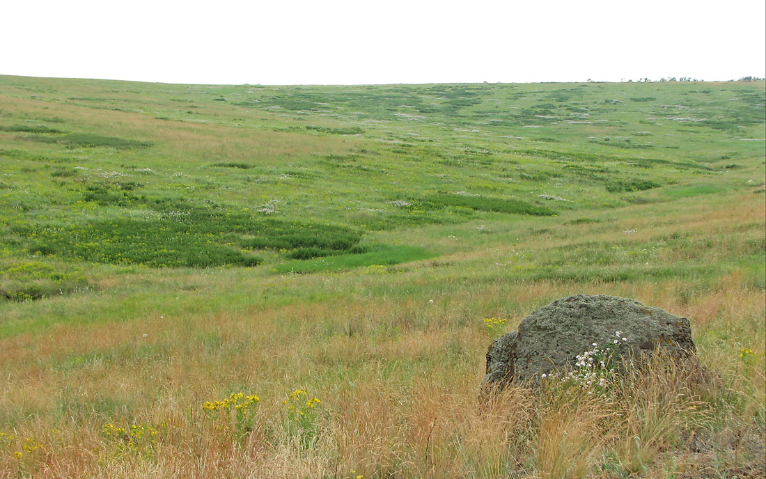 Хан-Тарама, изображение ландшафта.