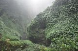 Ущелье Tonglin Gorge, изображение ландшафта.