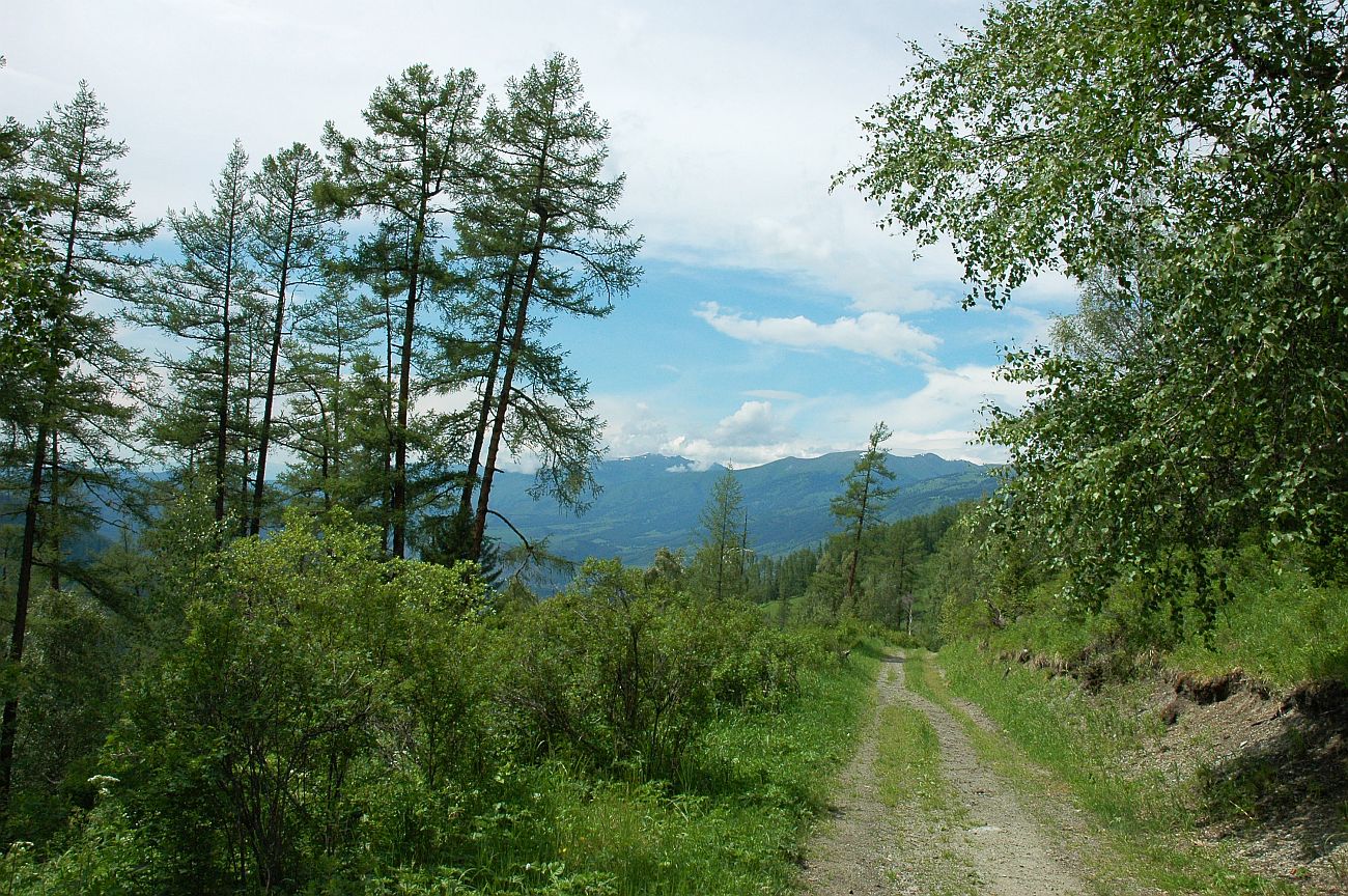 Окрестности перевала Кузуяк, image of landscape/habitat.
