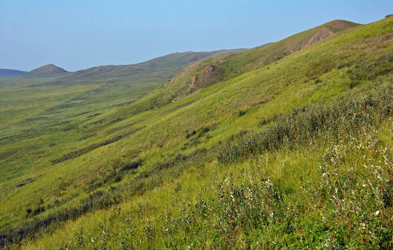 Озеро Шунет, image of landscape/habitat.