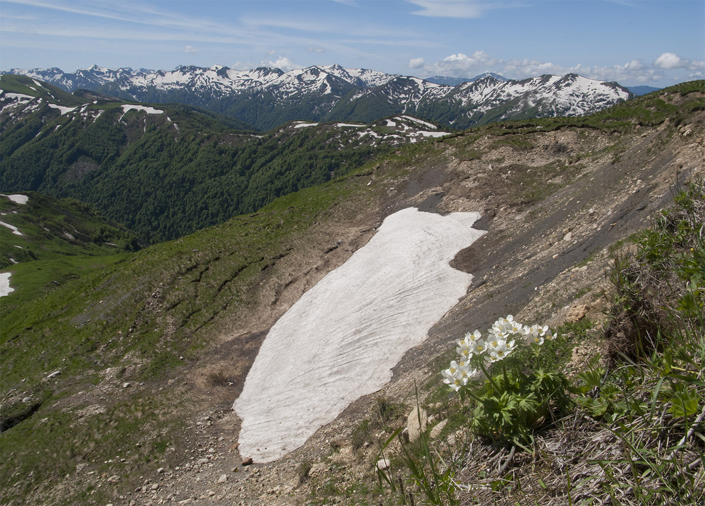 Гора Гузерипль, image of landscape/habitat.