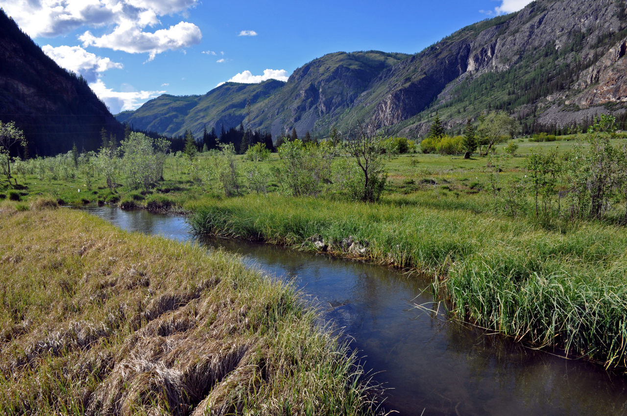 Голубое (Гейзеровое) озеро, image of landscape/habitat.