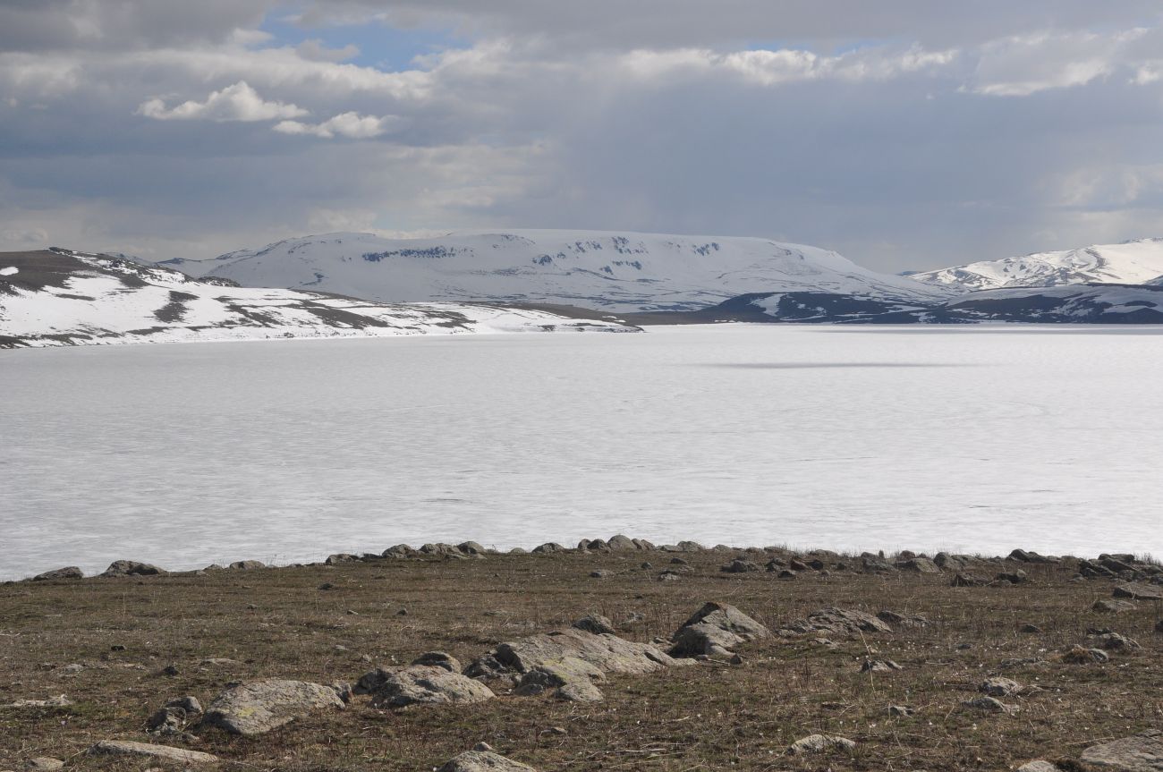 Озеро Айгыр, image of landscape/habitat.