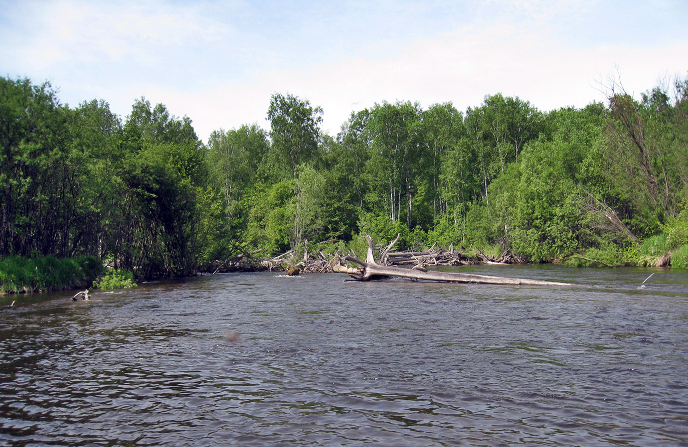 Река Гур (верховья), image of landscape/habitat.