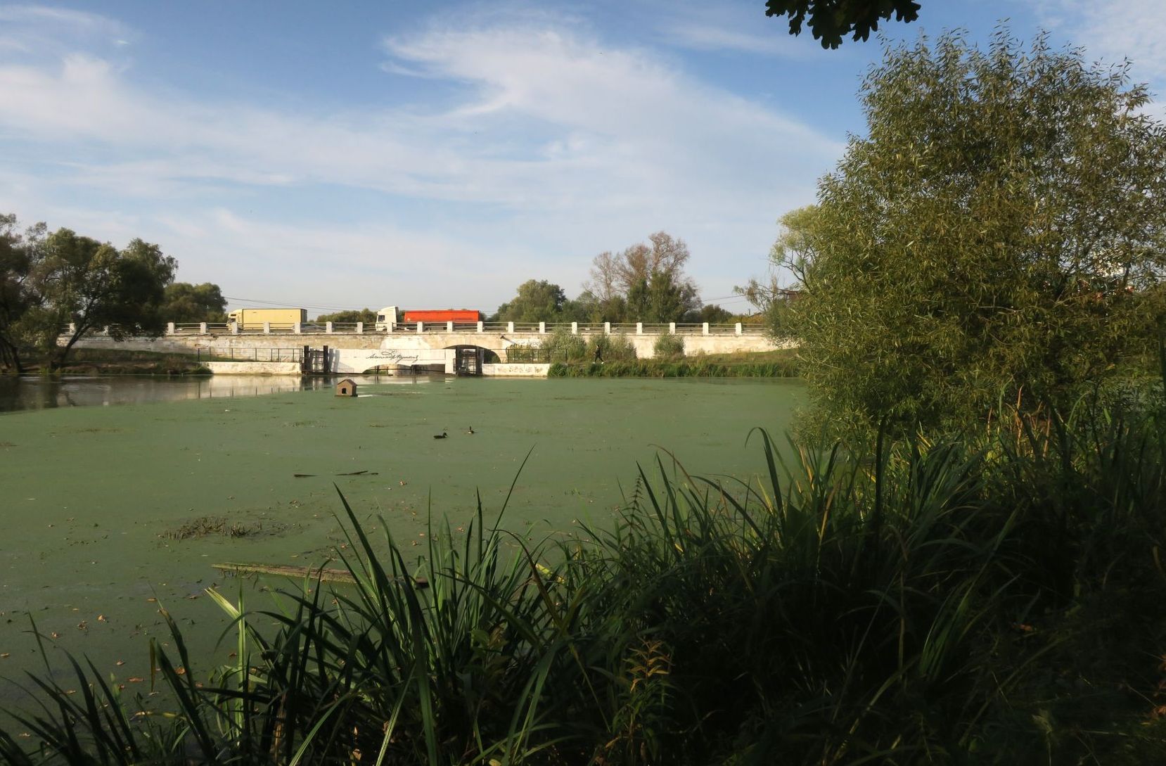 Большие Вязёмы, image of landscape/habitat.