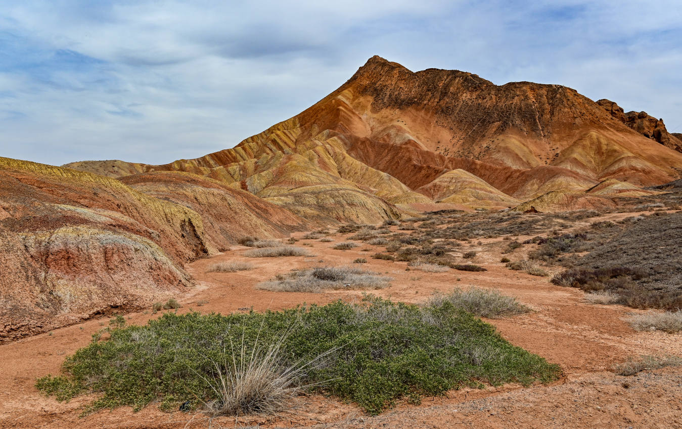 Национальный парк "Данься", image of landscape/habitat.
