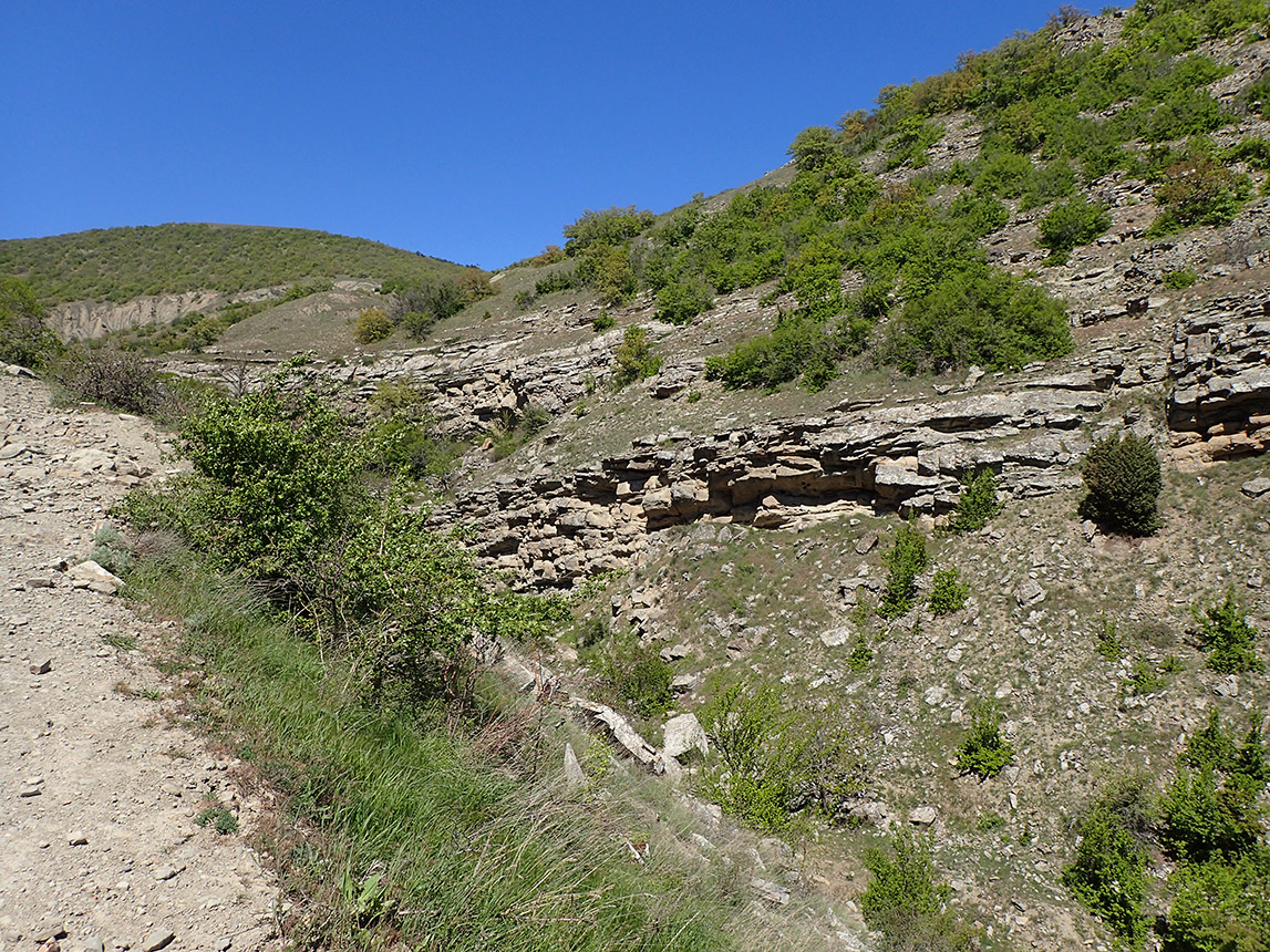 Хребет Токлук-Сырт, image of landscape/habitat.