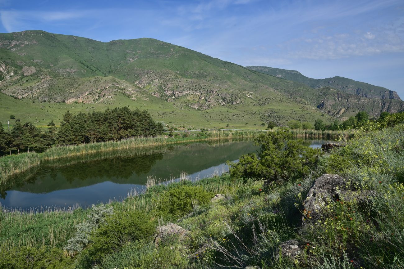 Озеро Цунда, image of landscape/habitat.