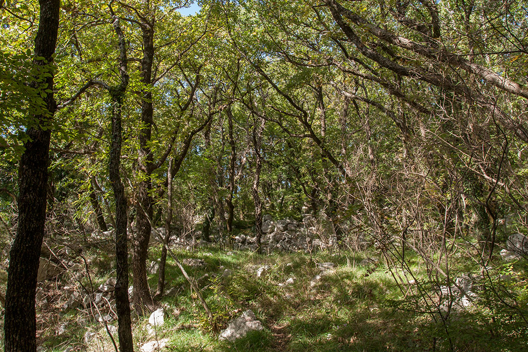 Кульяче и окрестности, image of landscape/habitat.