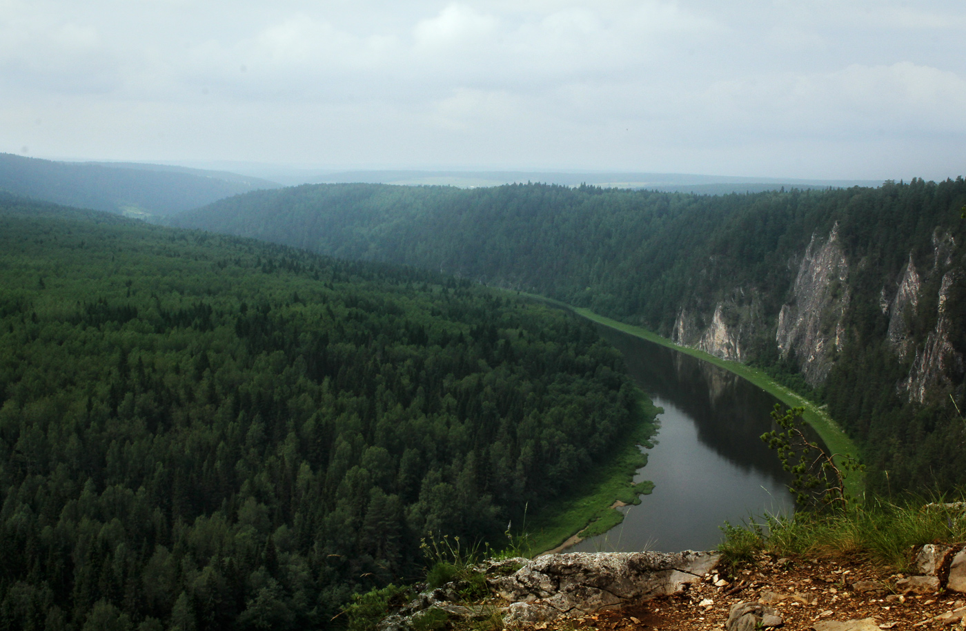 Камень Великан и его окрестности, image of landscape/habitat.