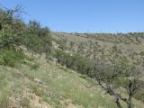 Image of landscape