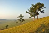 Озеро Шунет, image of landscape/habitat.