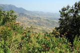 Image of landscape