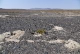 Image of landscape