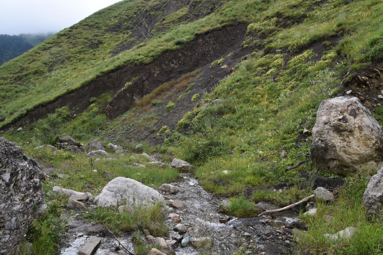 Урочище Кязи и окрестности, image of landscape/habitat.