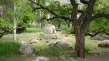 Барчадив, image of landscape/habitat.