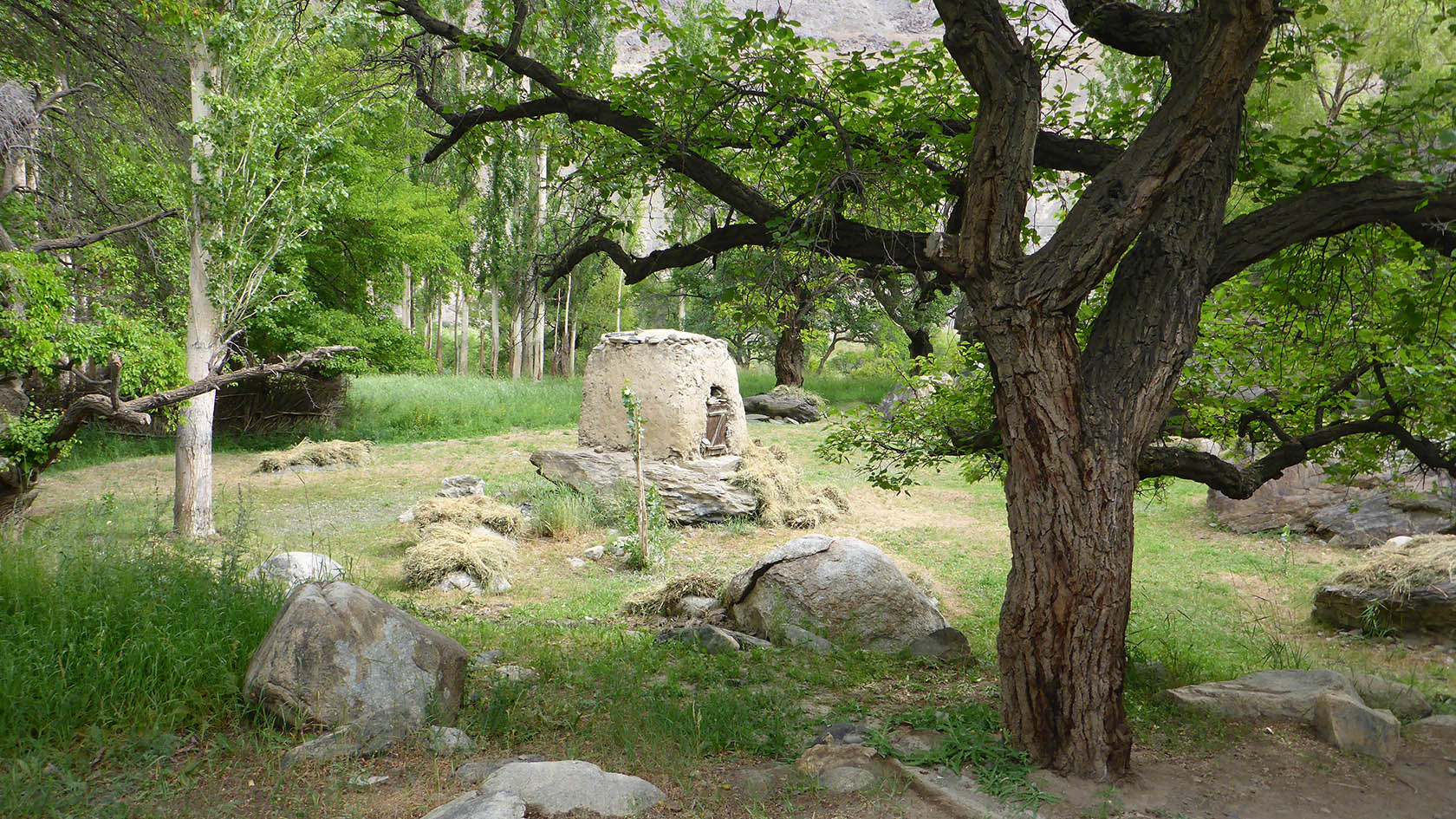 Барчадив, image of landscape/habitat.