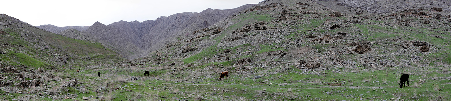 Маджерумсай, image of landscape/habitat.