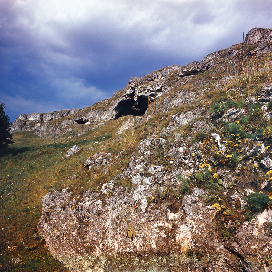 Старые Дуруиторы, image of landscape/habitat.