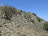 Image of landscape